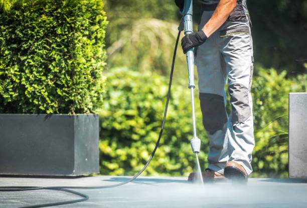 Best Soft Washing  in Woodville, WI