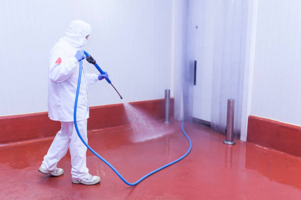 Reliable Woodville, WI Pressure Washing Services Solutions